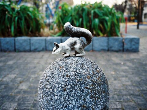 さよなら、千葉。（移動と「地域」について思うこと）