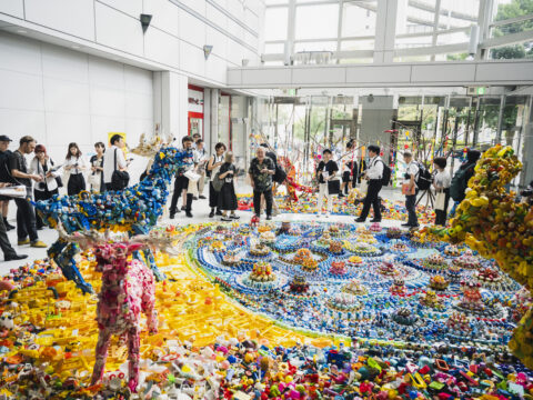 どうひらく？ 地域芸術祭のメディアリレーション