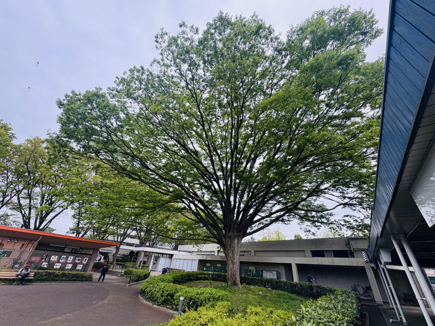 松戸市・常盤平でまちあるき＆合宿をしました